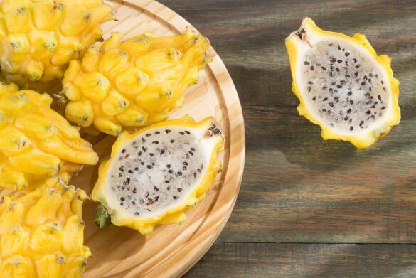 20 fruit that starts with y​