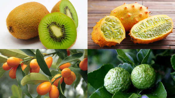 fruits that start with k